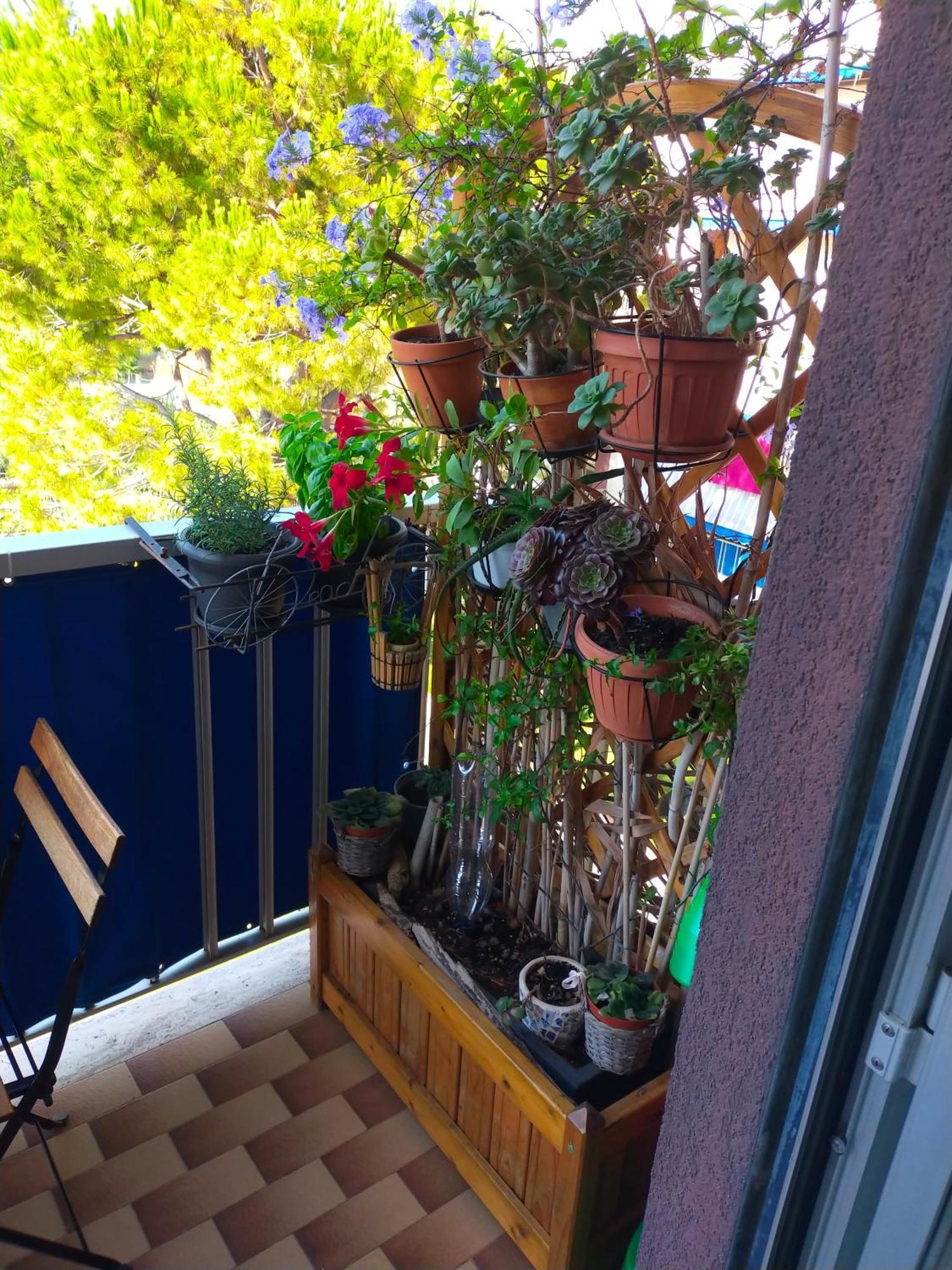 Appartamento Riviera Trilocale Wifi E Parcheggio Privato Ventimiglia Exterior foto